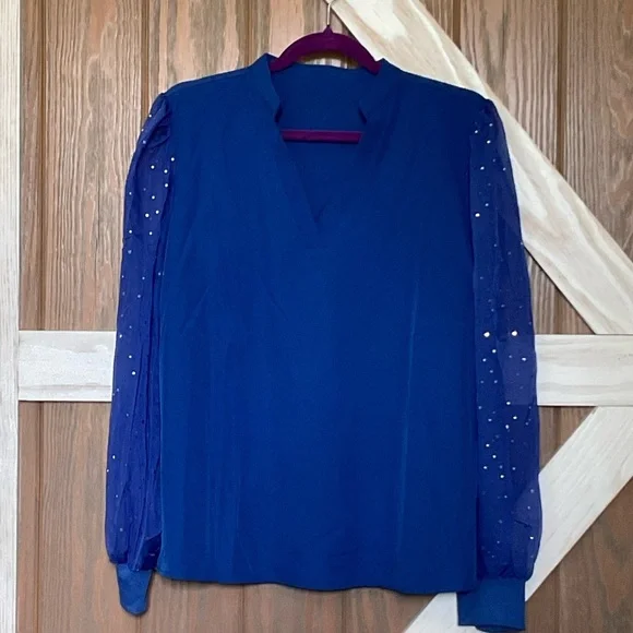 Elegant Pink OR Blue Blouse with Sheer Sparkly Sleeves. SIZES vary - Picture 9 of 9